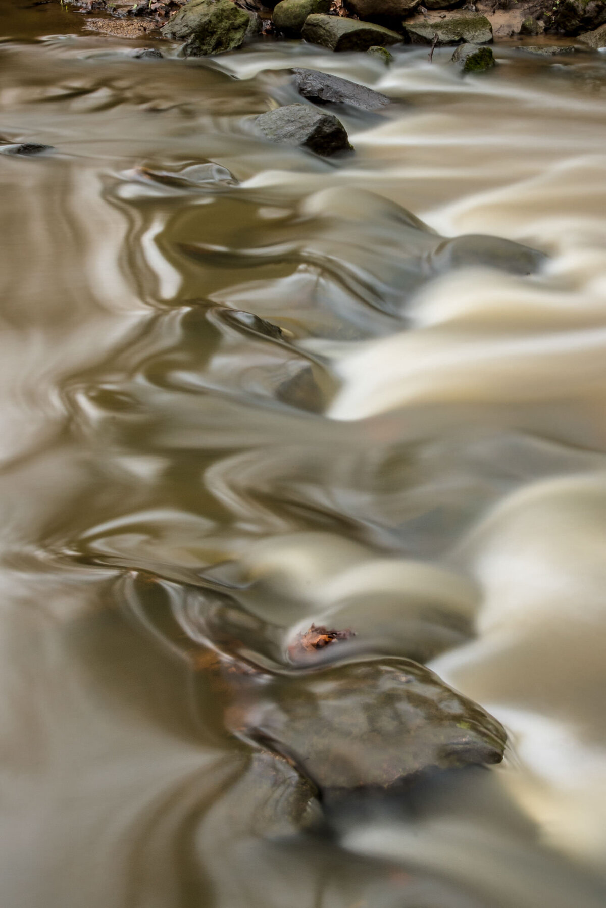 DSC_6063_web