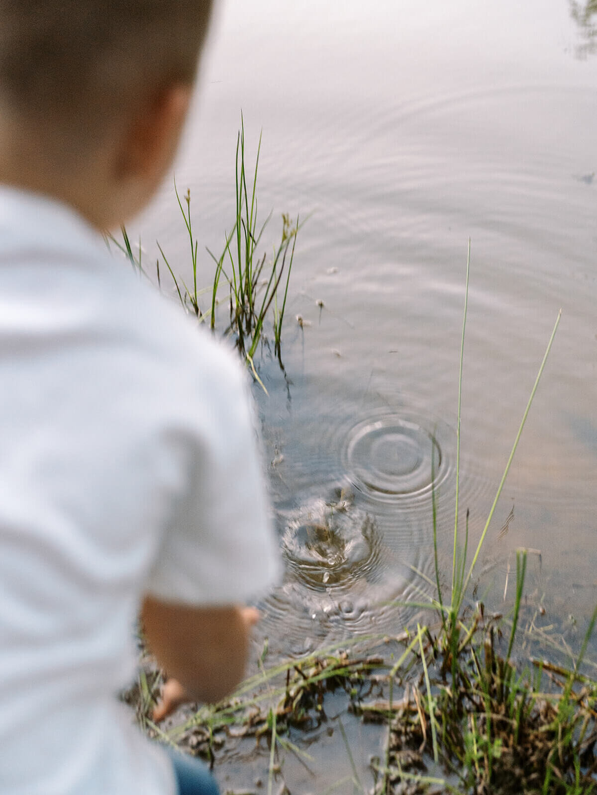 Ripples in a pond with a young boy facing away from the camera and out of focus.