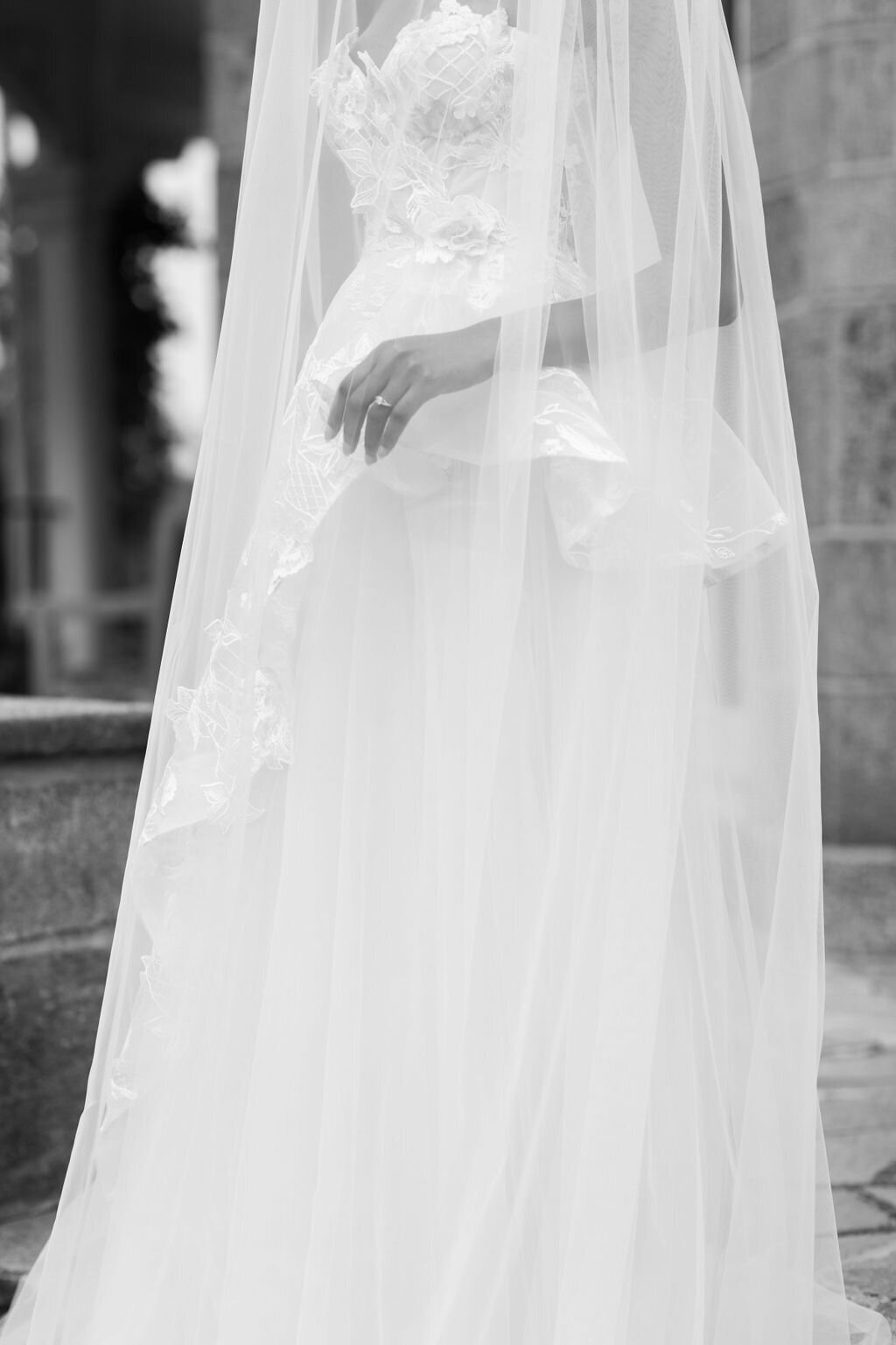 bride wedding gown and veil