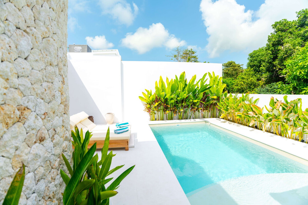 property_versi_219