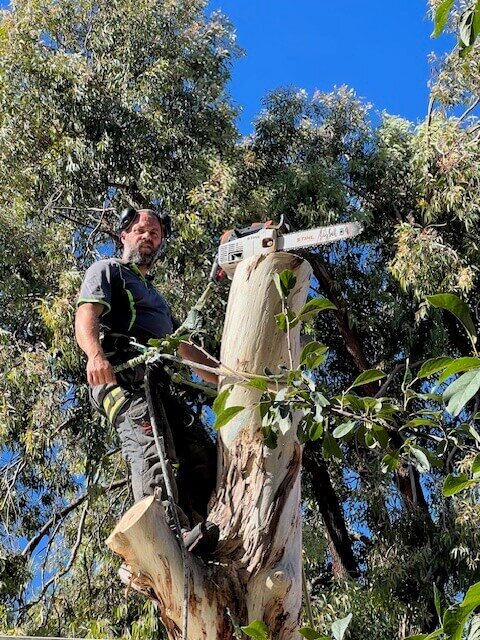 Evergreen Tree Services SA-Working