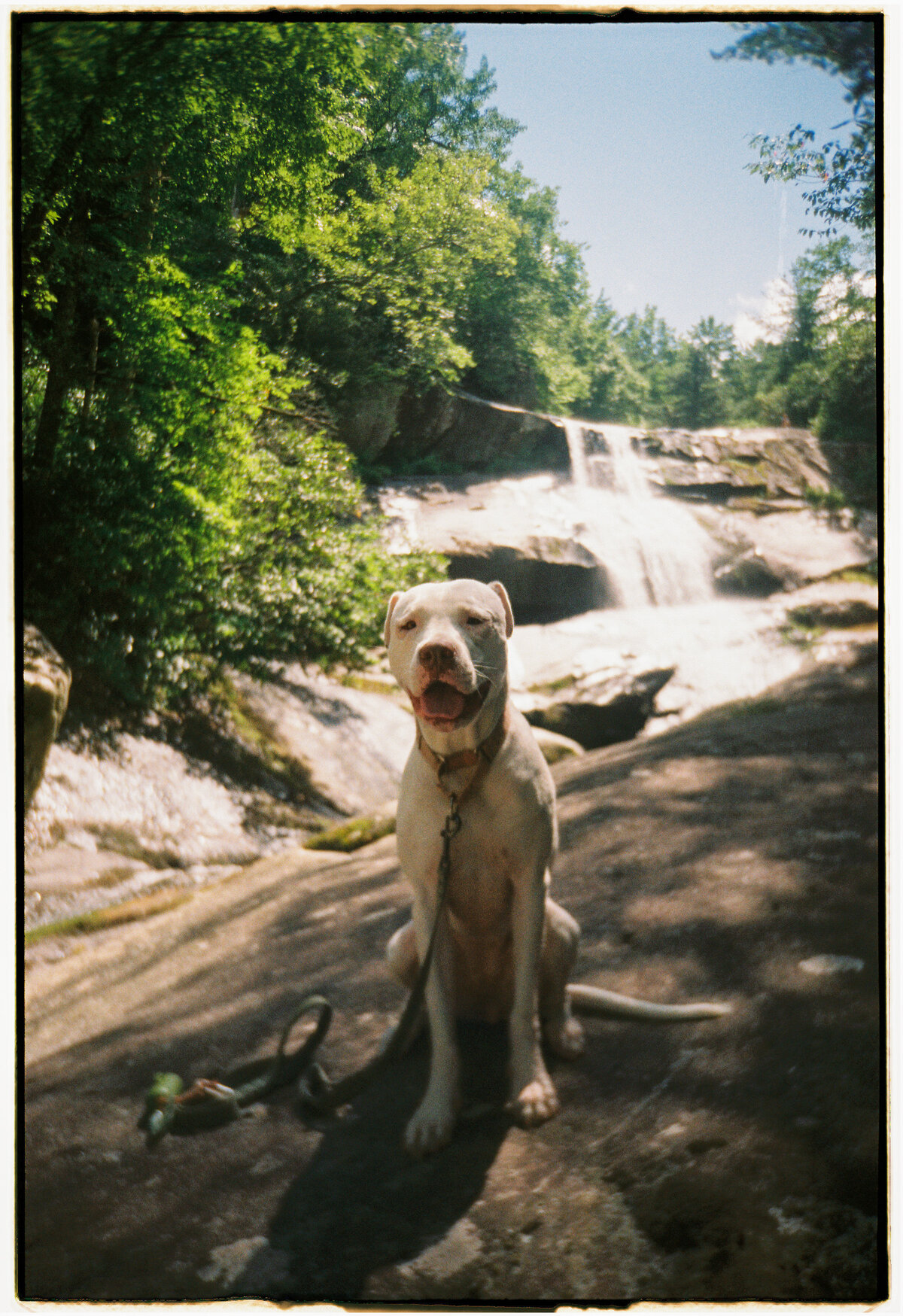 rwp-film--14