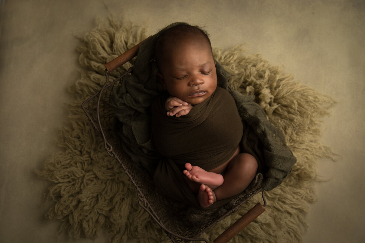jeanty newborn-6124