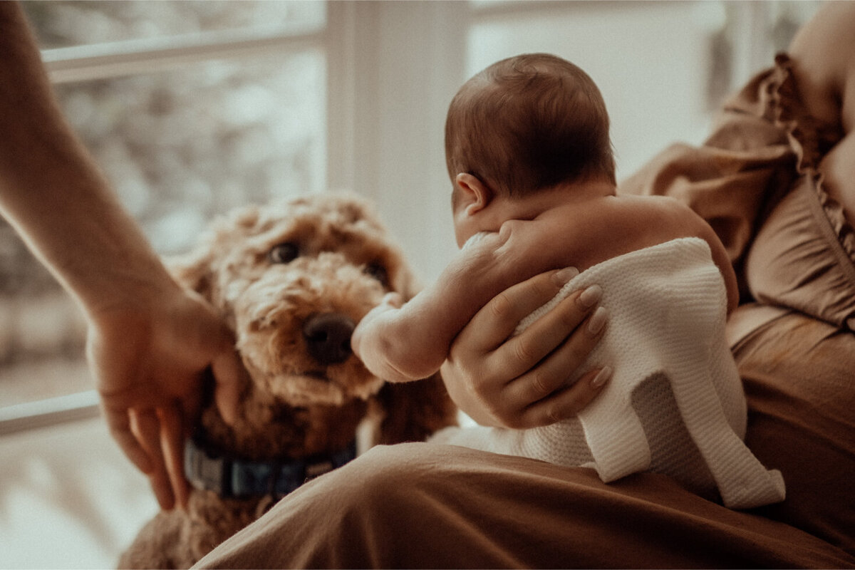 the-lifestyle-phodographer-perth-family-pet-photographer-maternity-newborn00029