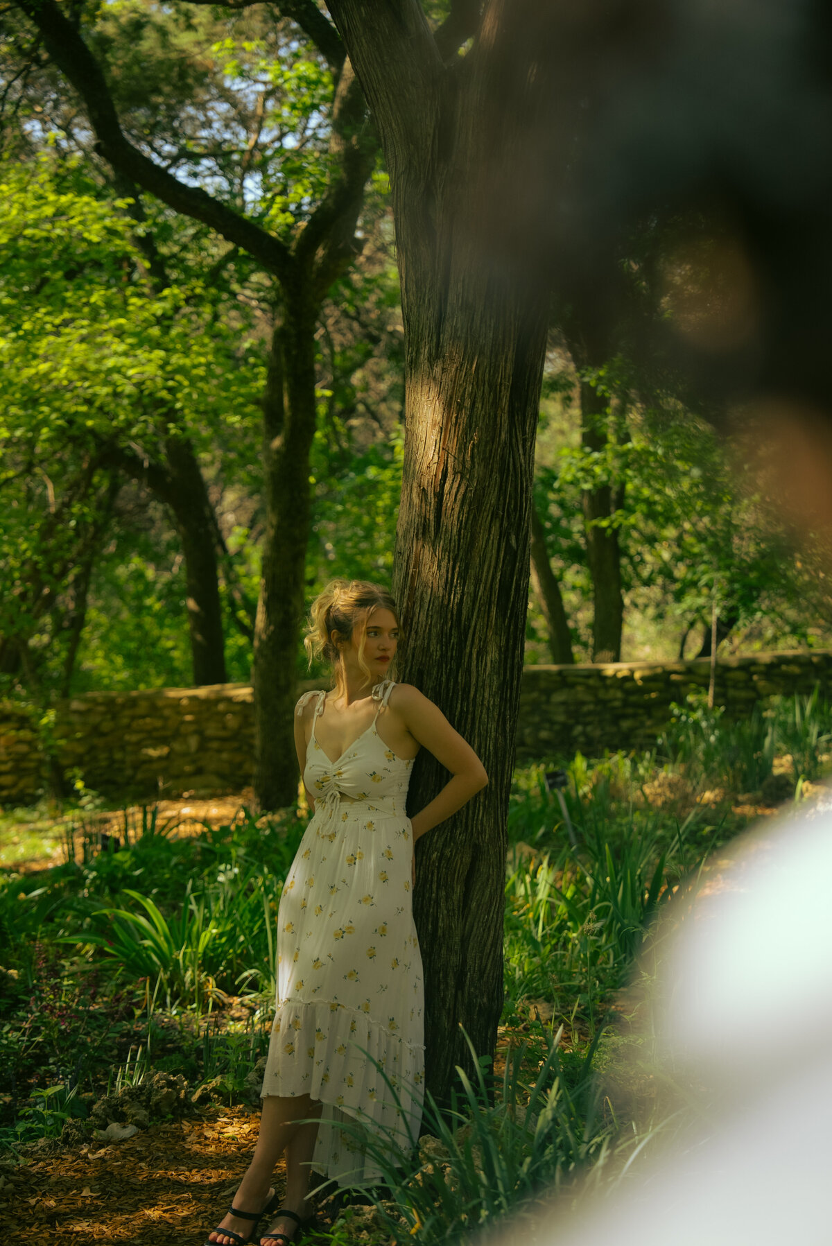 vintage lut-1215