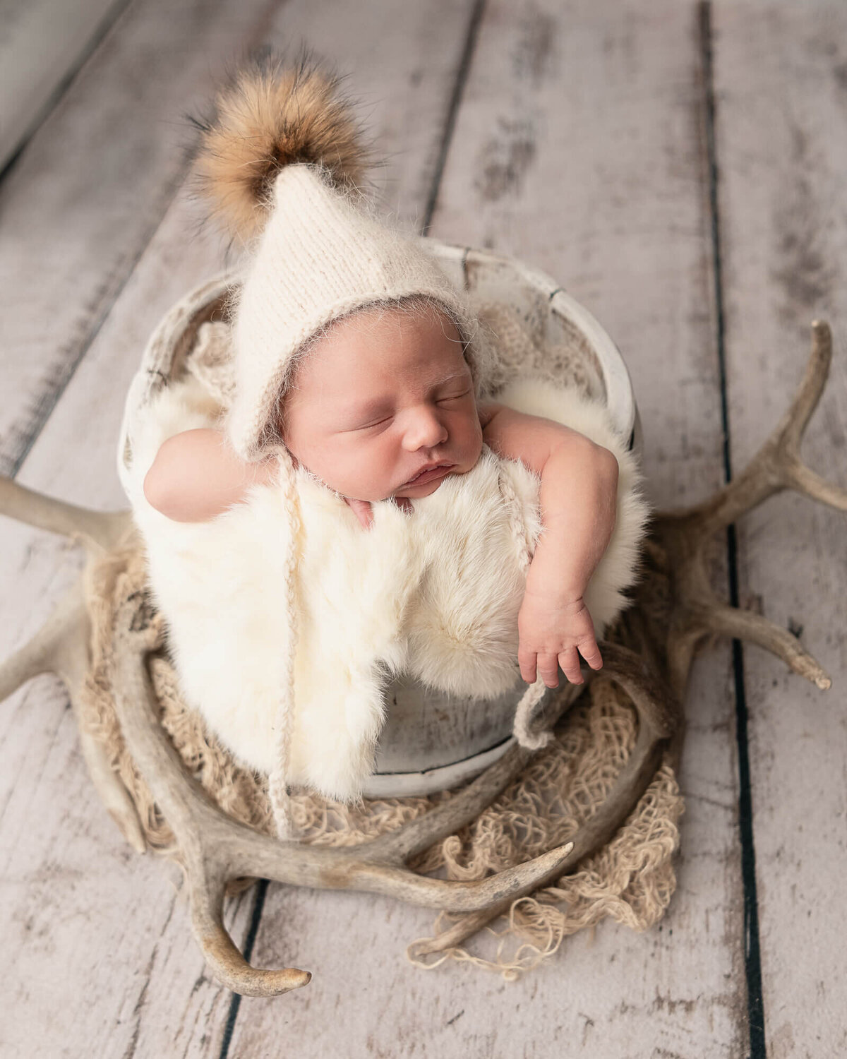 Baby in bucket with Antlers