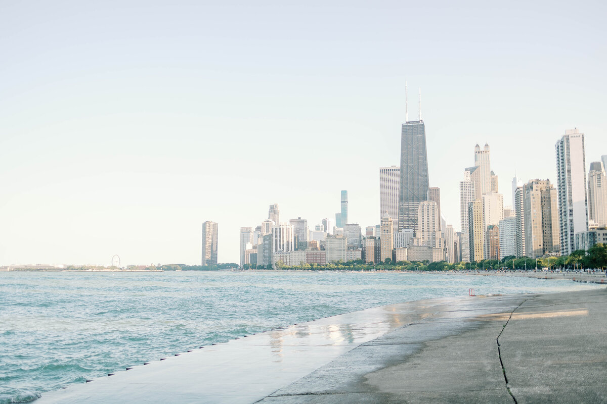 Astrid & Ray Chicago Engagement