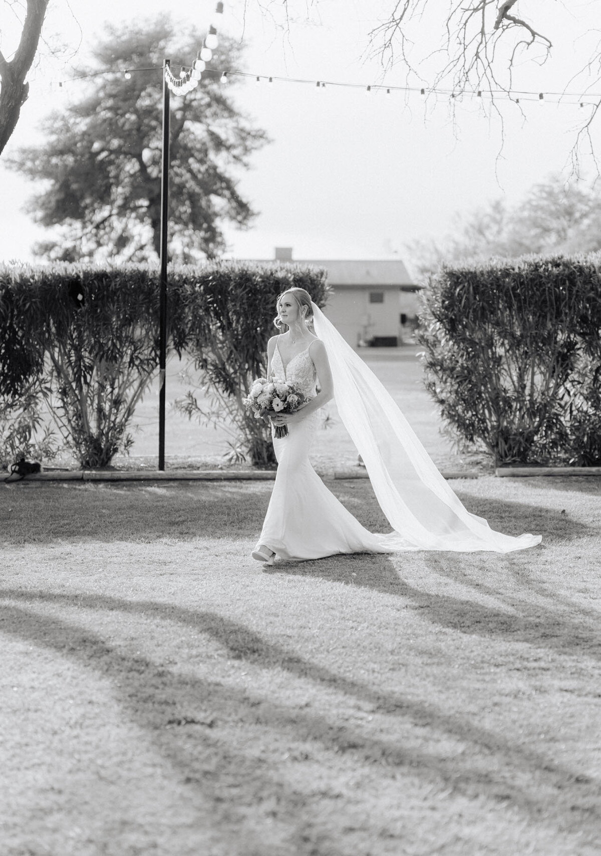 Tucson wedding photo with Tanque Verde Ranch mountains