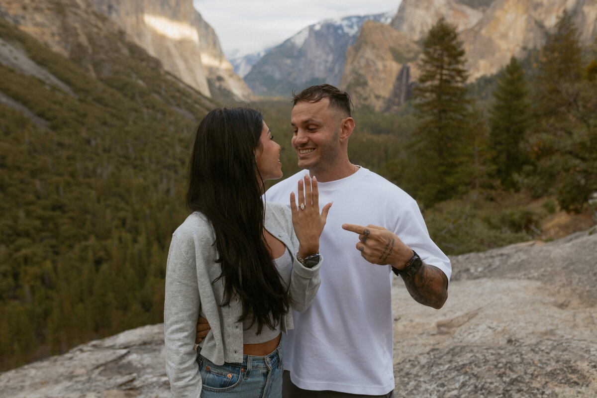 Desert Born Studios - Yosemite - Proposal_-69