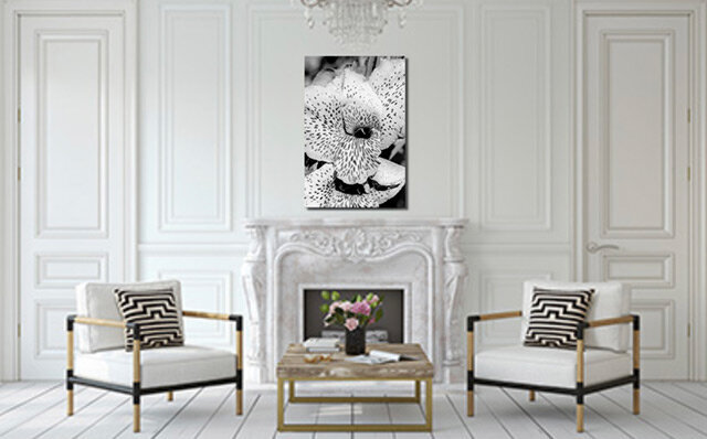 Photographic Print Closeup of Spotted Flower in Black and White on metal example display hanging on wall above fireplace two chairs on either side