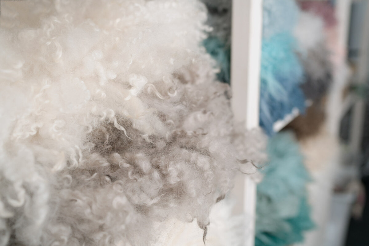 websitestudiocurlylayers