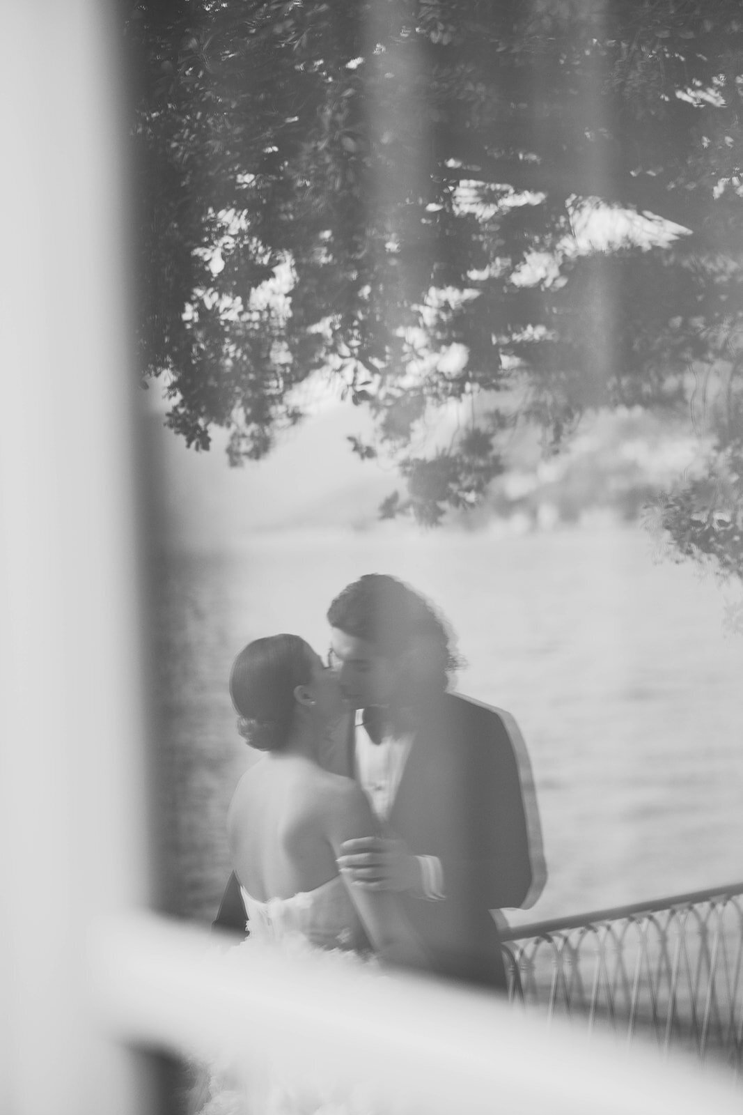 3T0A2331_websize