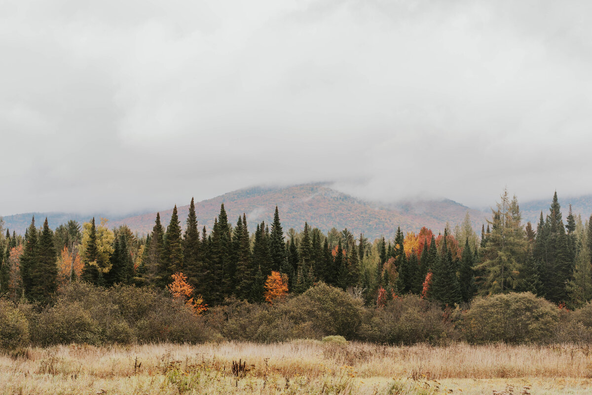 White Mountain National Forest Elopement