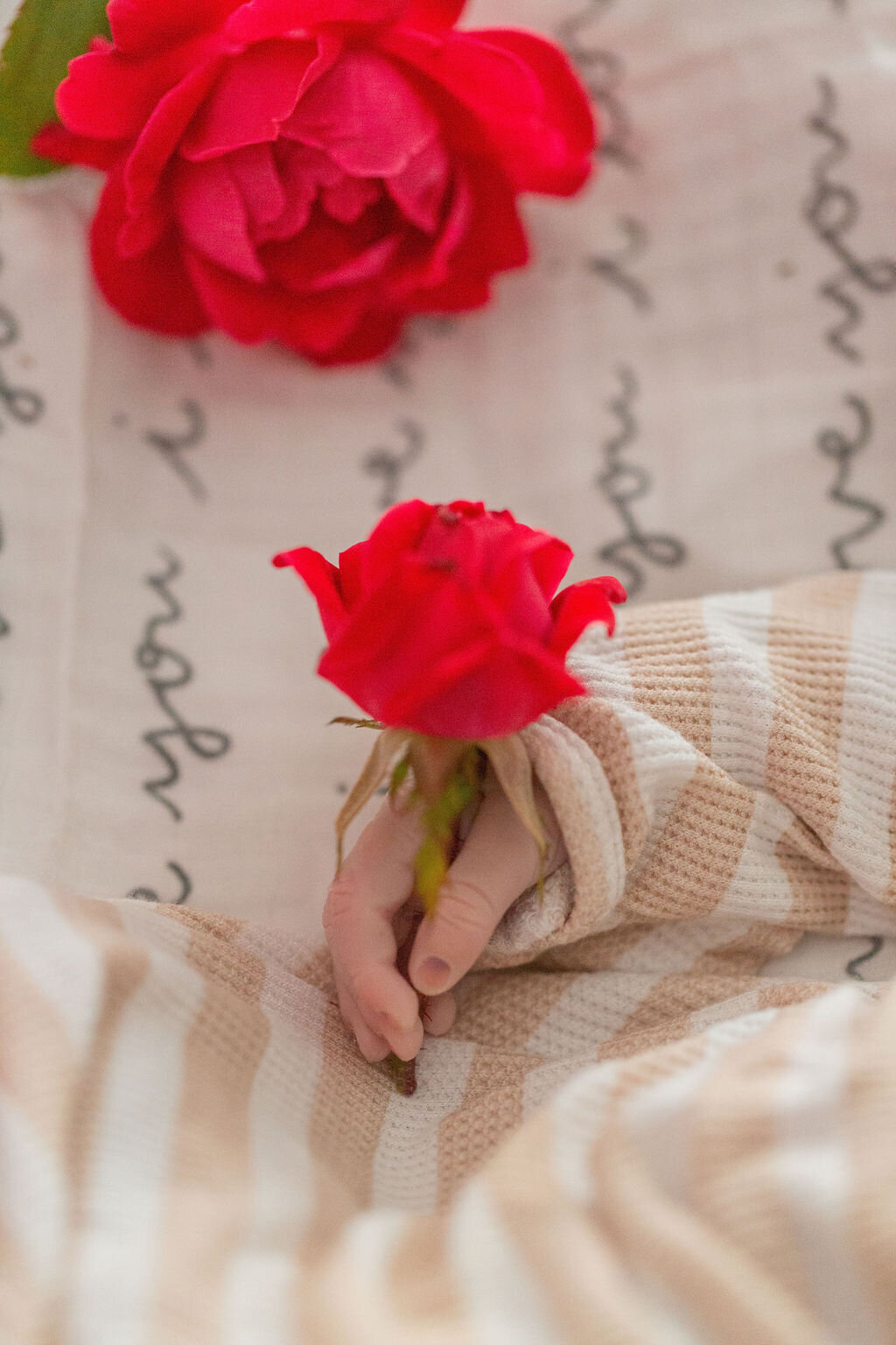 Calvary holding a rose