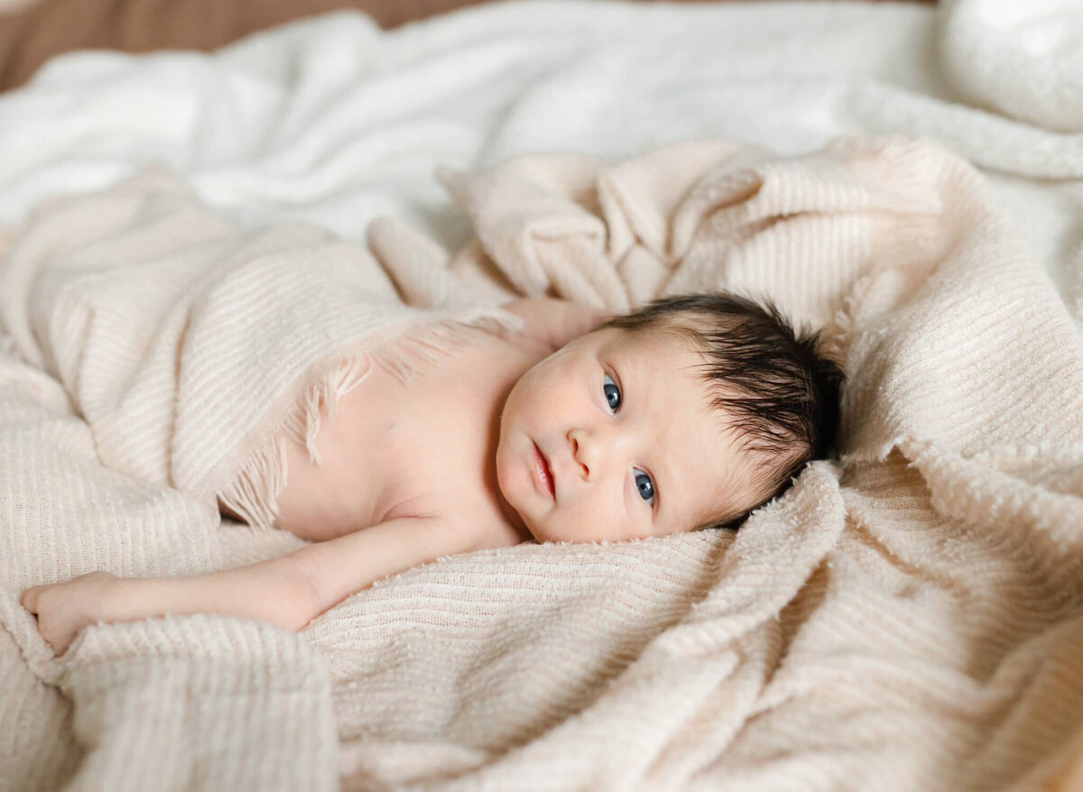 Maryland newborn photographer-2