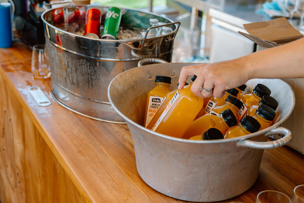 Zorb Event-9375_websize