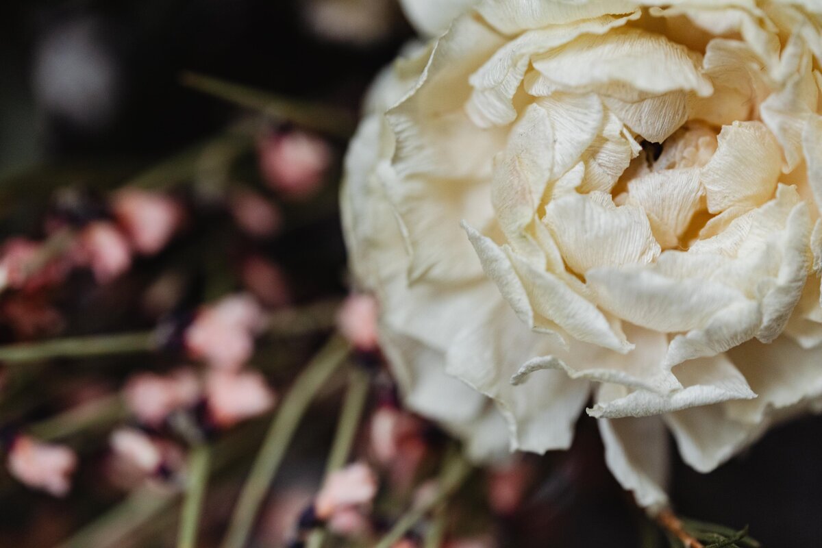 dried-flowers-and-grasses-buttercup-flower