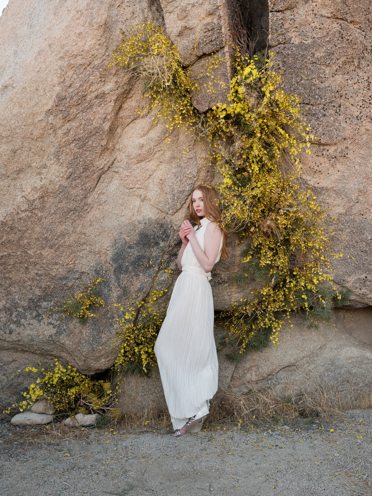 joshua-tree-ruth-yang-photo-41