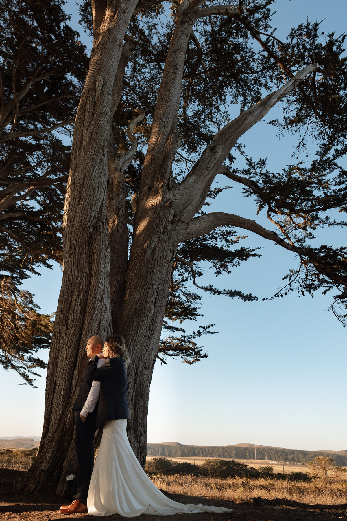 Newly married couple embraces next to a eucalyptus tree in Pt Reyes
