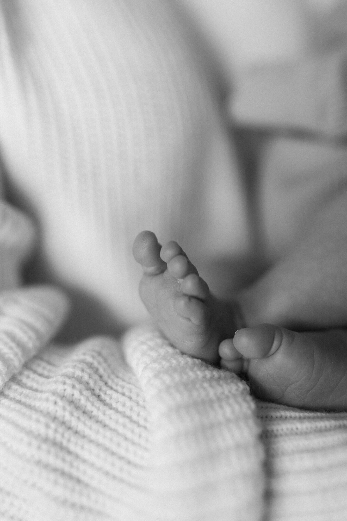 stlouisfamilyphotographer-4