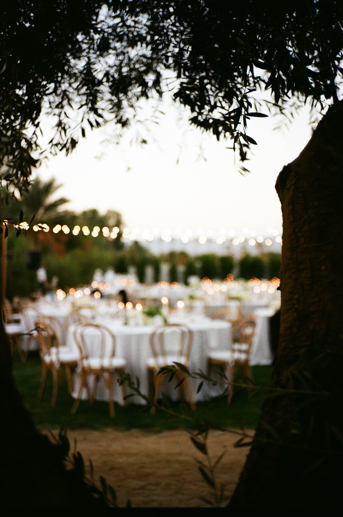 reception area shot on 35mmfilm Palm Springs Ca