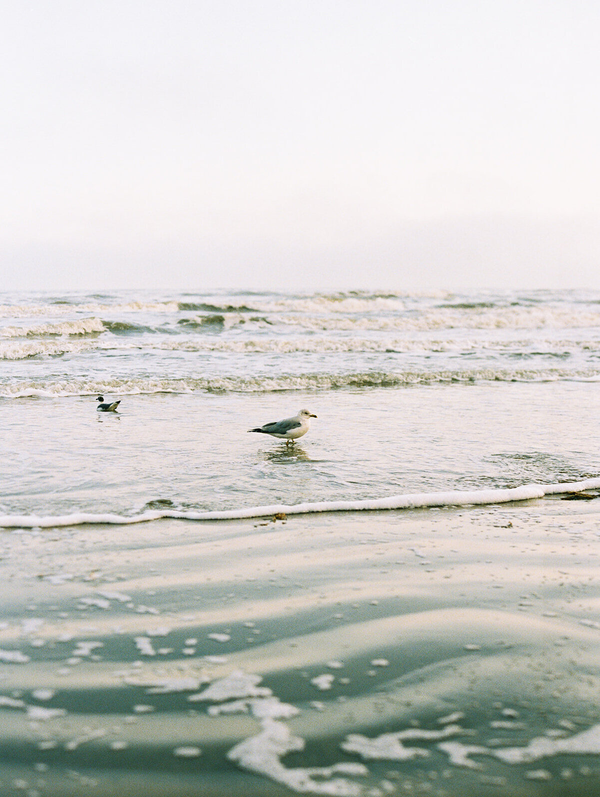 Galveston.PetalerCotable..01.24.2021.MarniWishartPhotography-1061