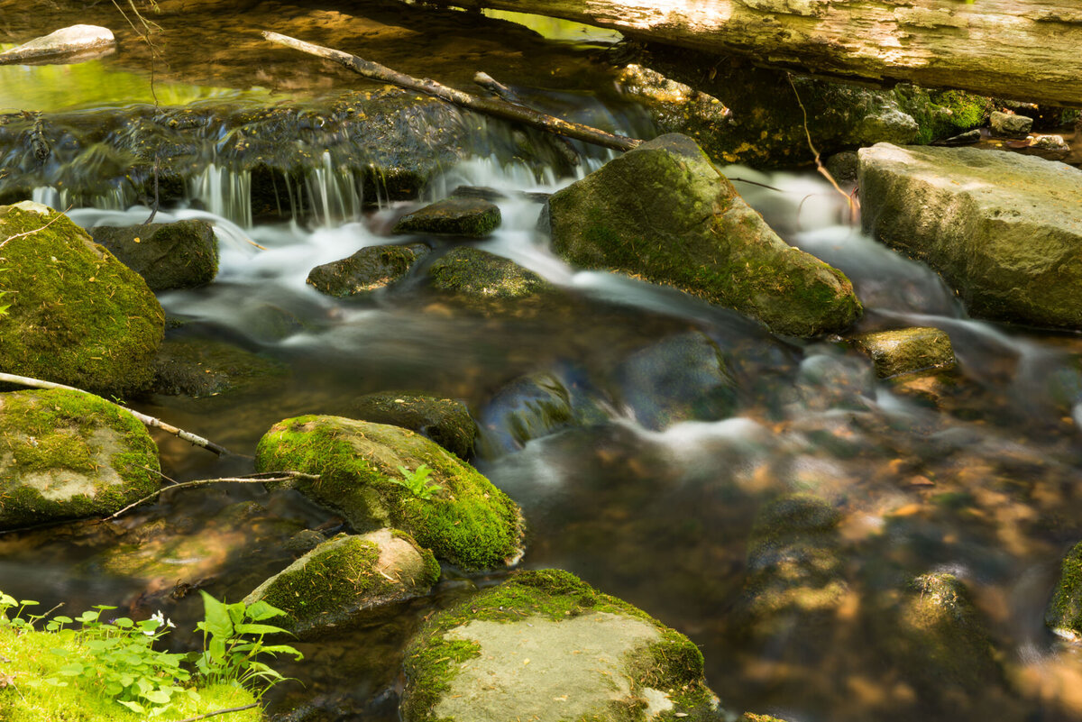 DSC_7490-2_web