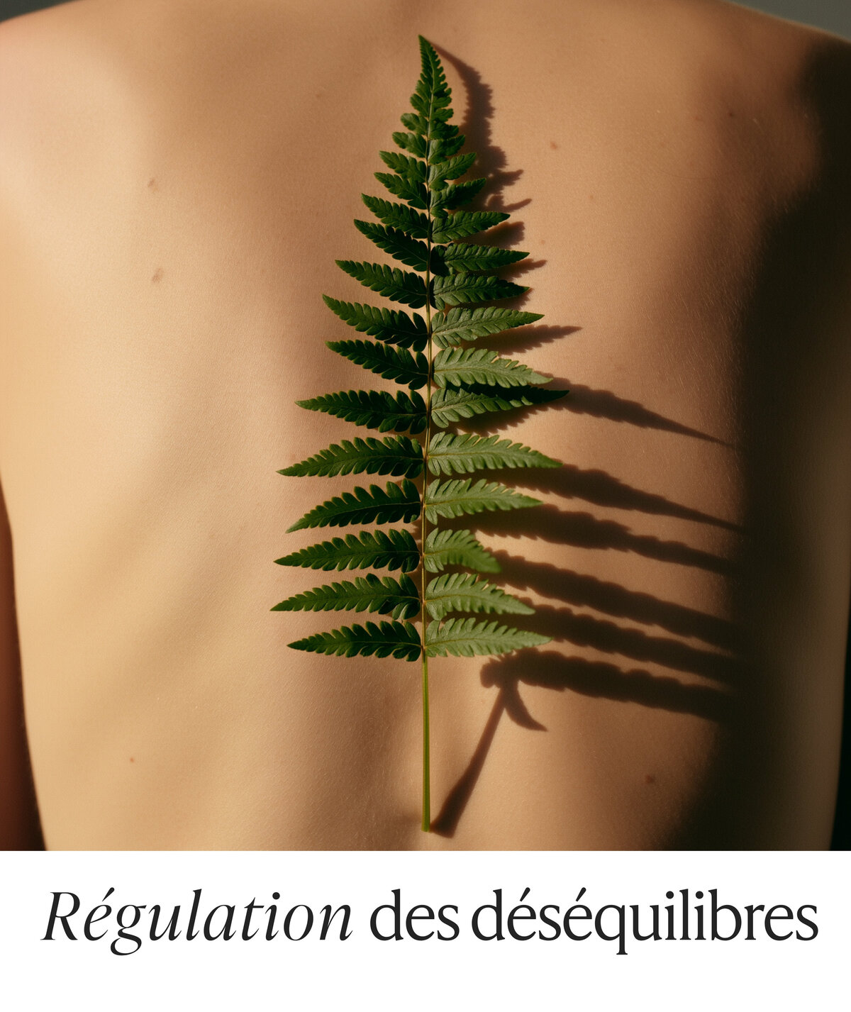 regulation-desequilibres-laetitia-beysang-naturopathie