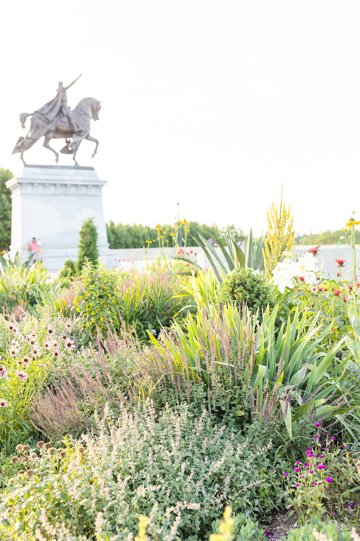 St. Louis Art Museum photography