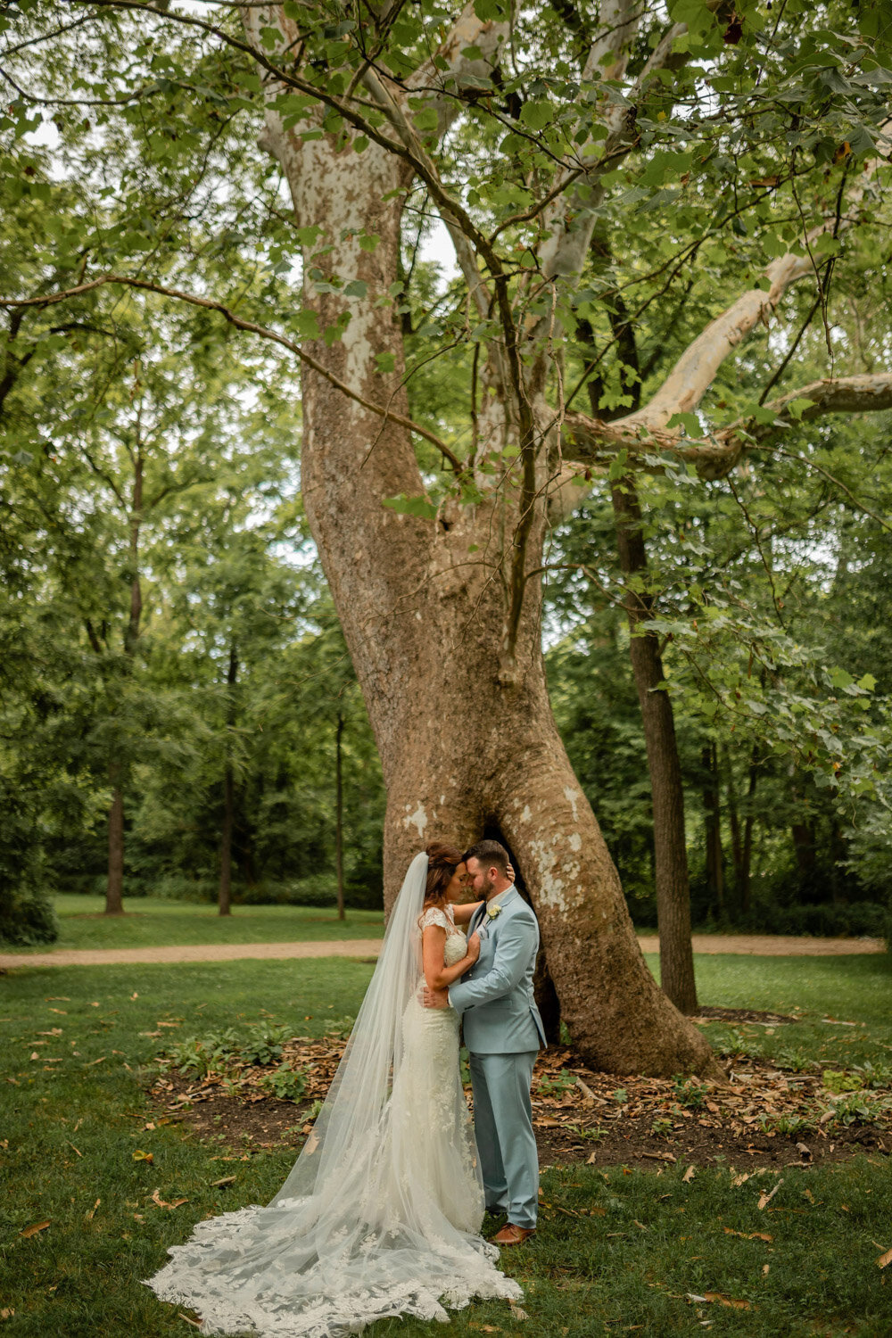 Bride and groom kiss in front of sycamore tree