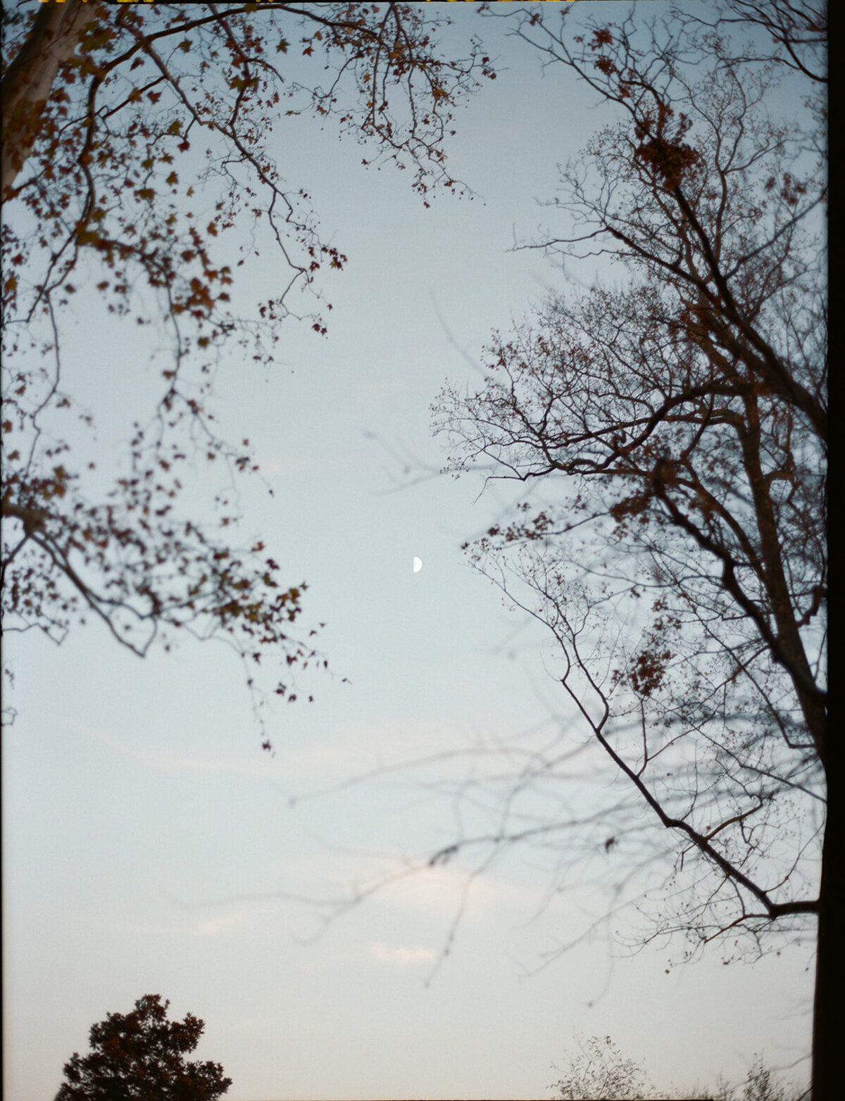 36-alexa-matt-fall-wedding-delaware-bellevue-hall-2024