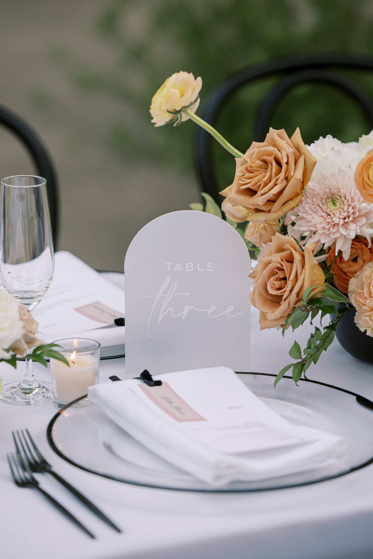 Park Winters Wedding Photo-130