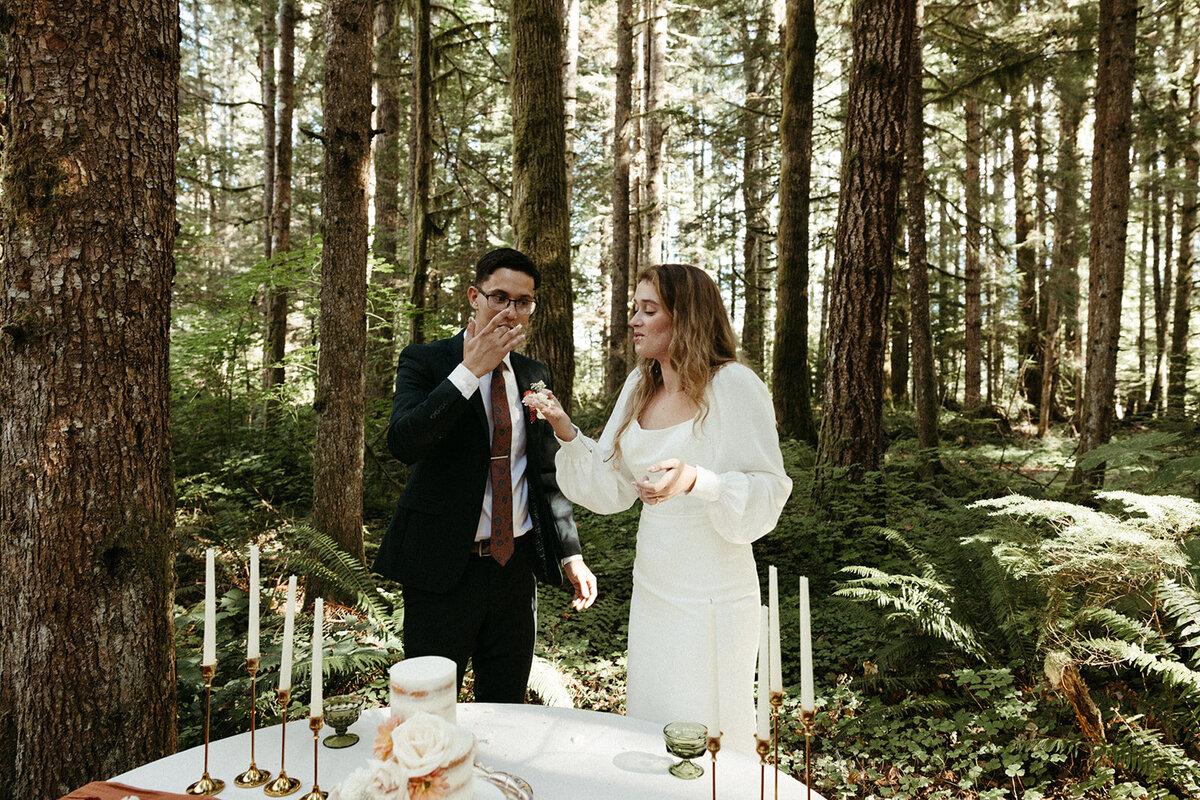 MtRainierSmallWedding-DallinHazard-540