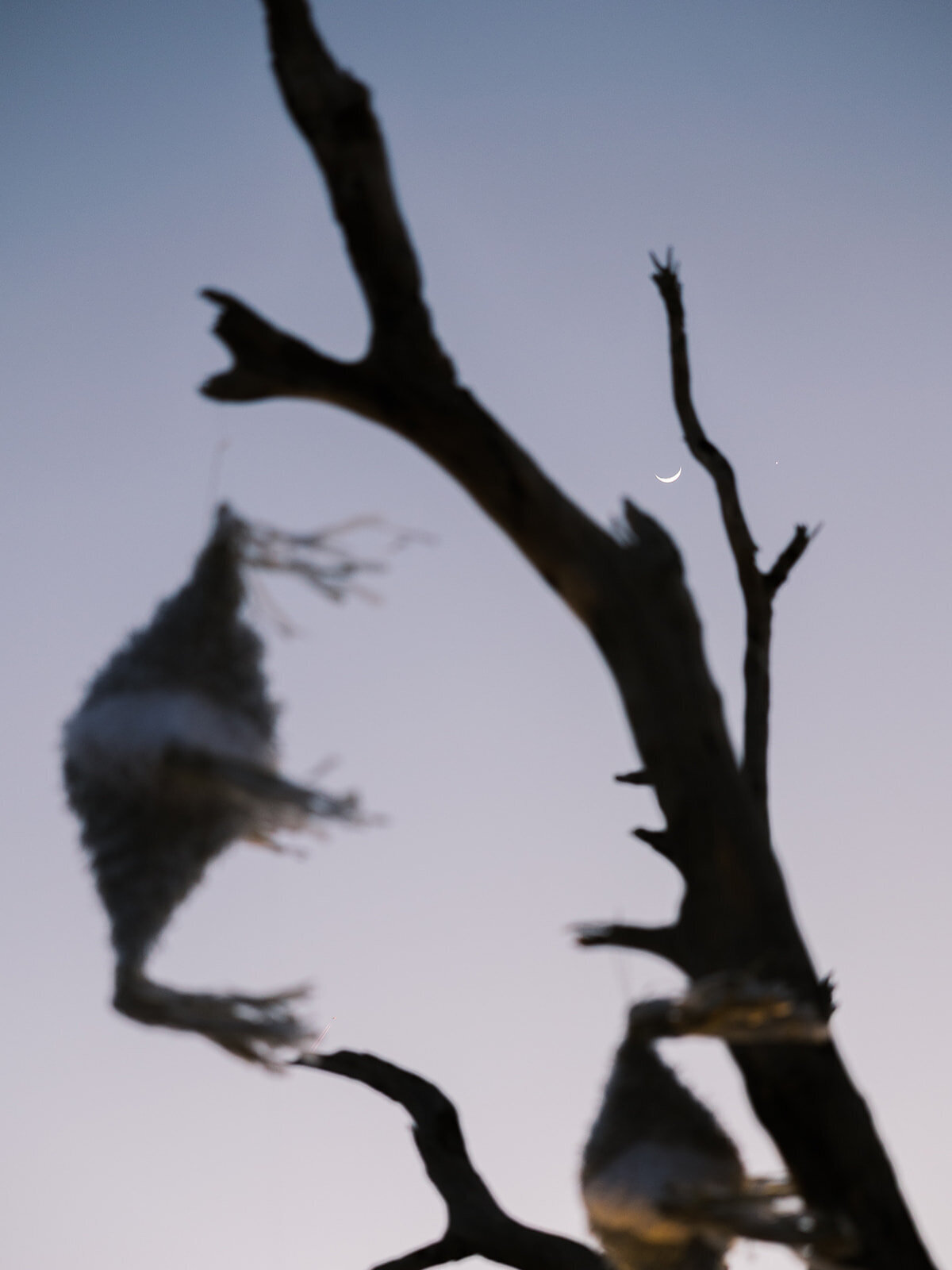 Lummis_Wedding_LCM-777