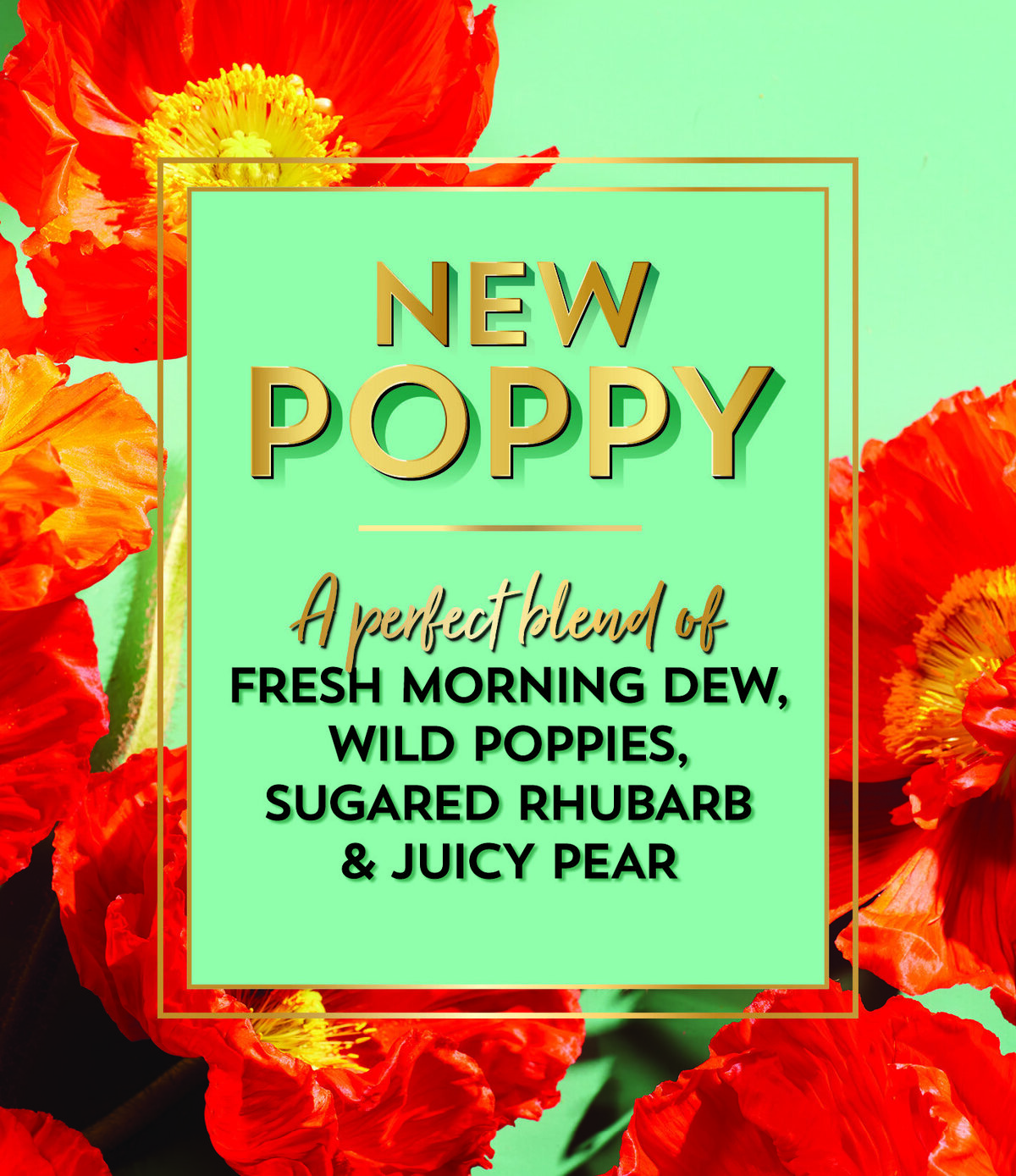 F_Poppy_Notes_r2