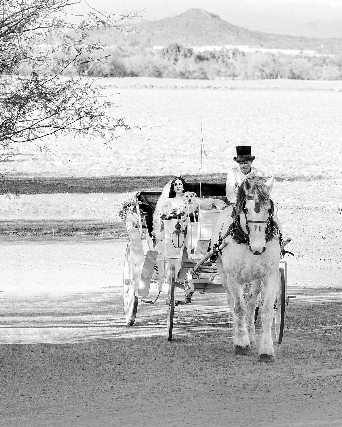 Windmill Winery Lake House Wedding (49)