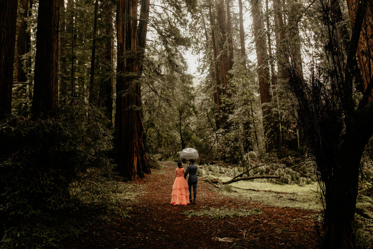 muir-woods-redwoods-engagement-photography-breeanna-lasher-12