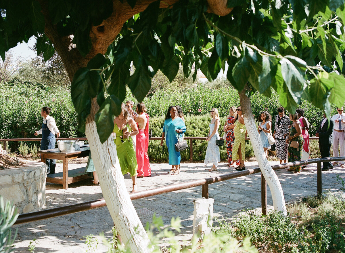 India_Thomas_Wedding_Mo_Davis_Photo051420