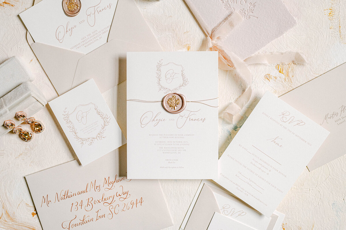 okezie-frances-wed-7