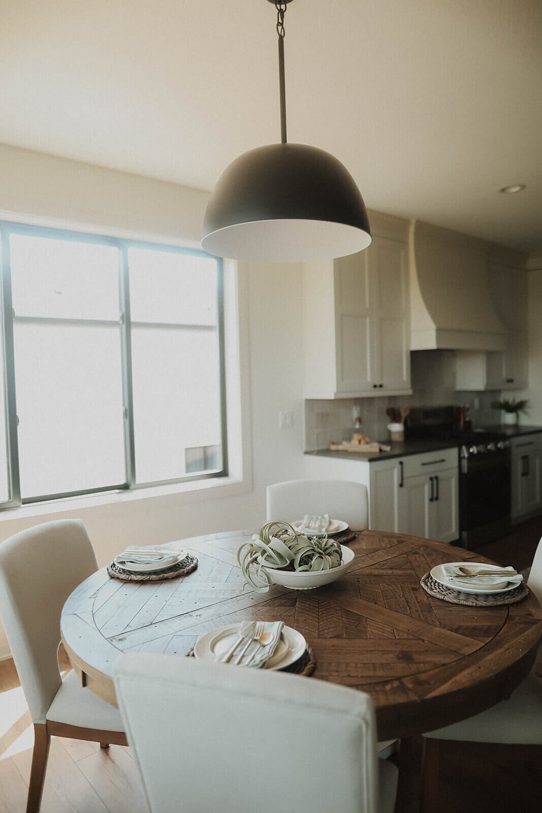 NW-28th-St-Dining-Room-Interior-Design-Grimes-Des-Moines-Waukee-West-Des-Moines-Ankeny-Lake-Panorama-Central-Iowa-3F1A9361