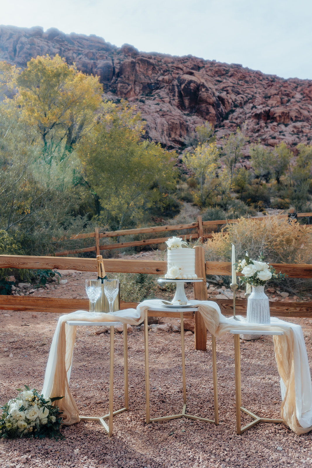 Red Rock Canyon Wedding_Cleaver Wedding-1587_websize