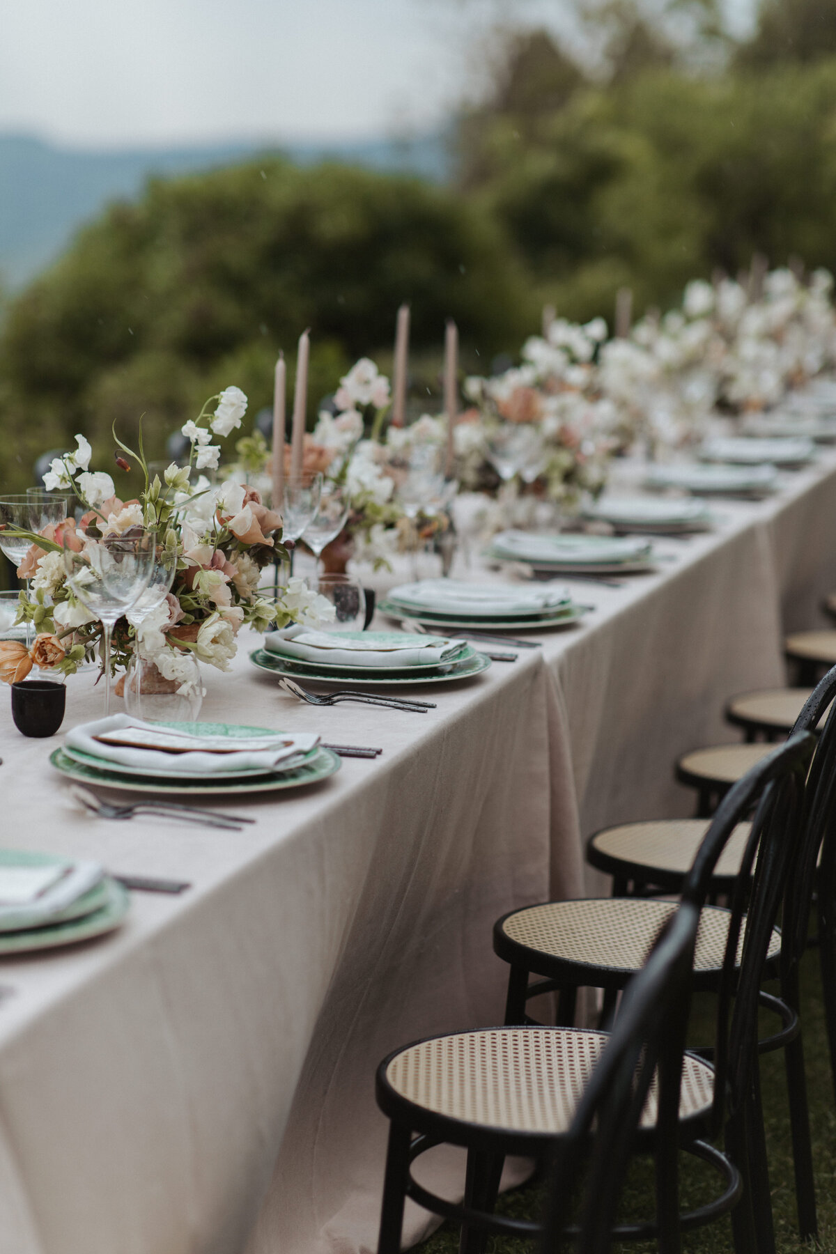 LizSchneiderPhoto-2901