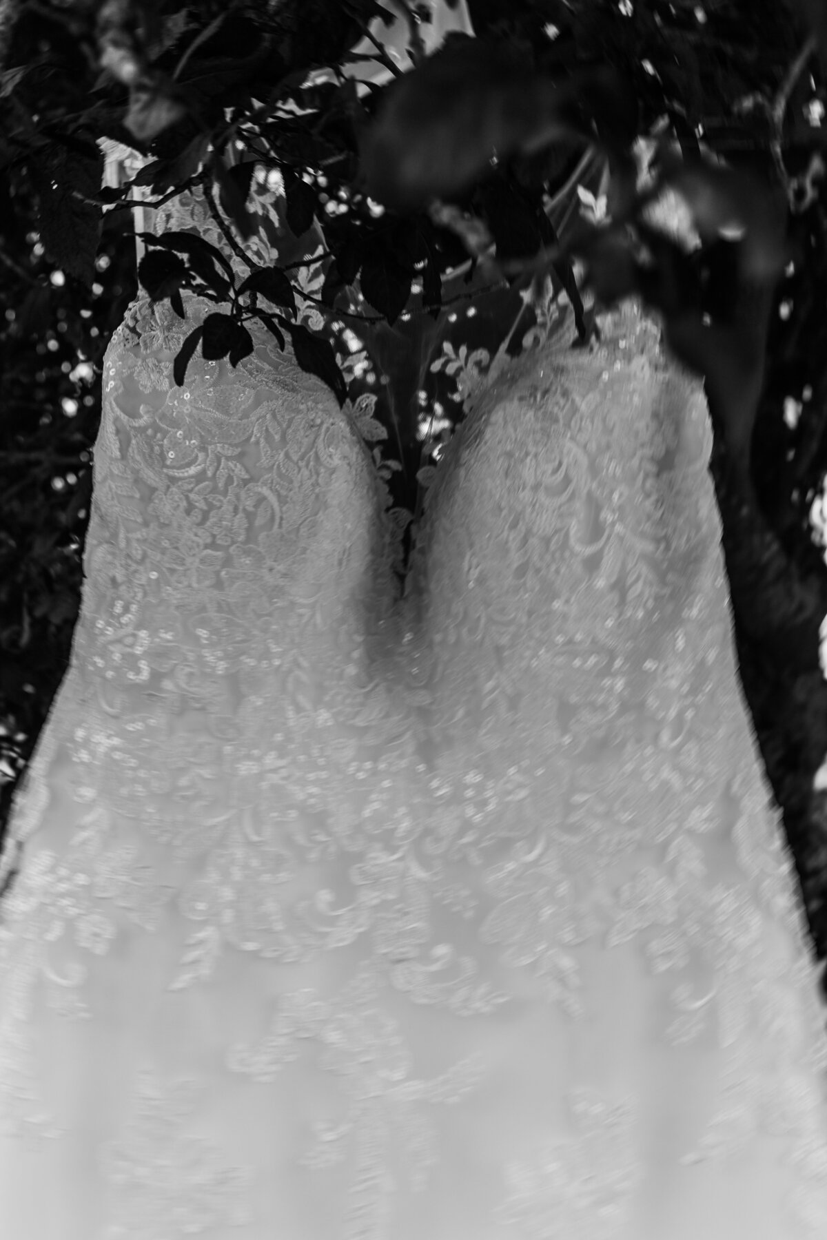 CM.bymanon-0011