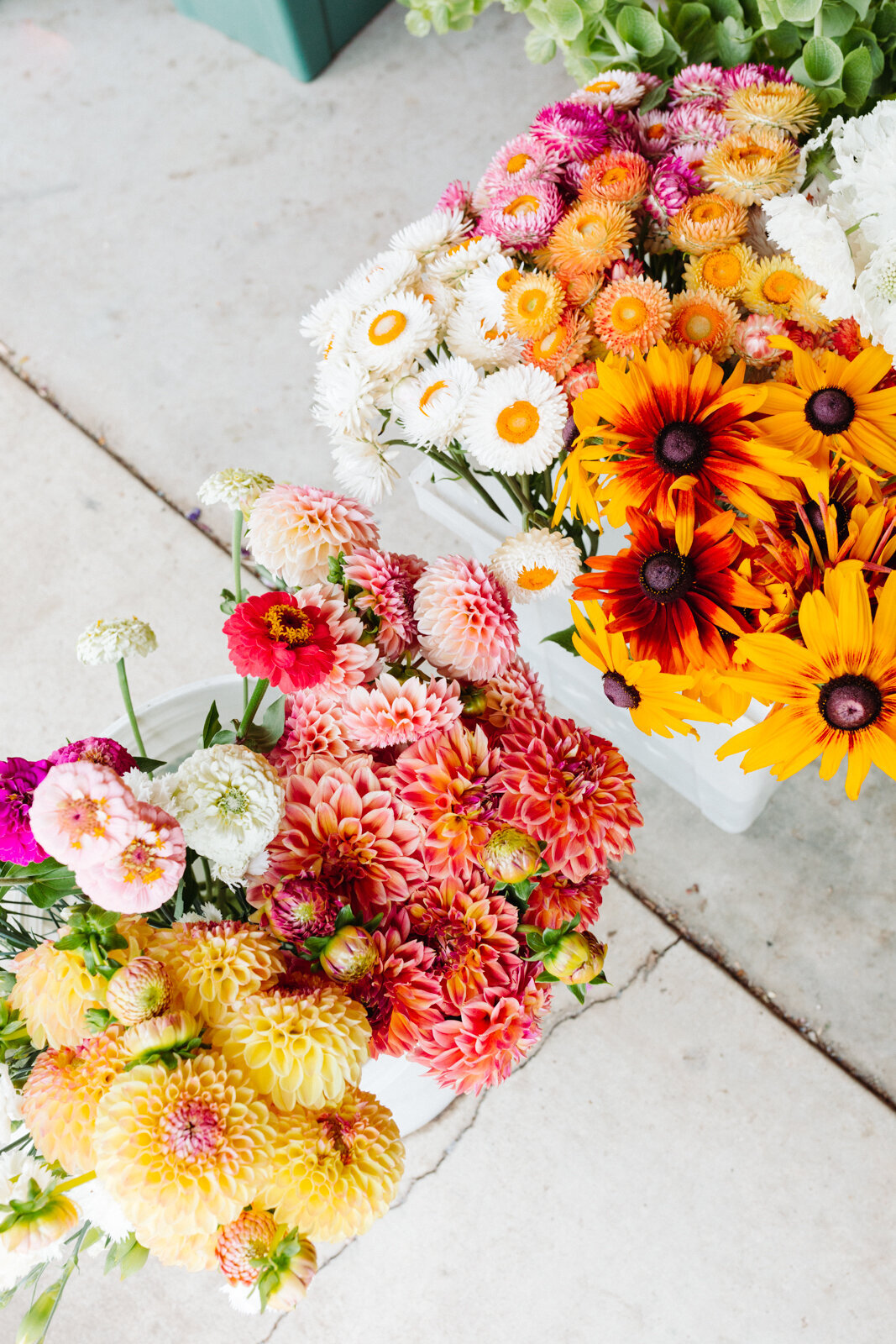 santa-barbara-company-danielle-motif-photography-july-2021-starter-farm-web-size-68