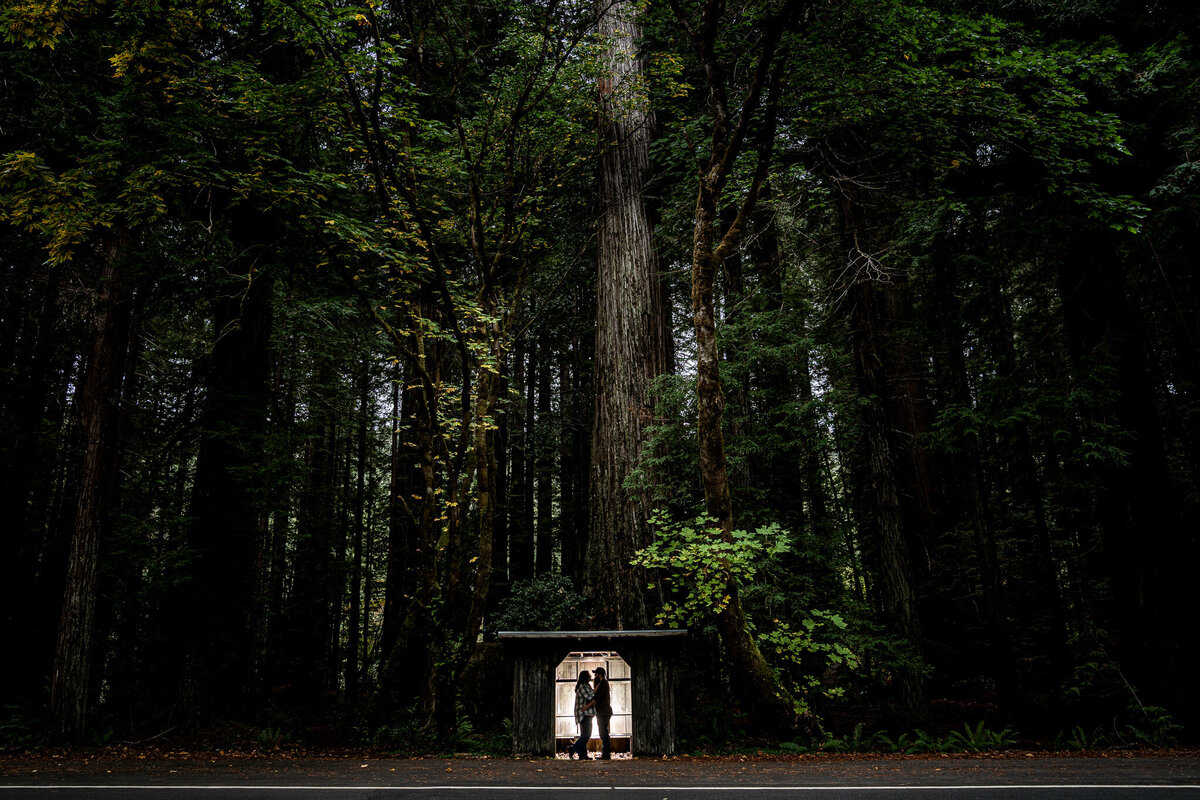 20251024_DanBergerPhotography_251484