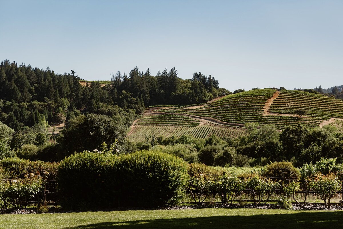 Rolling vineyard landscape at Dutcher Crossing Winery in Sonoma County on a sunny summer elopement day