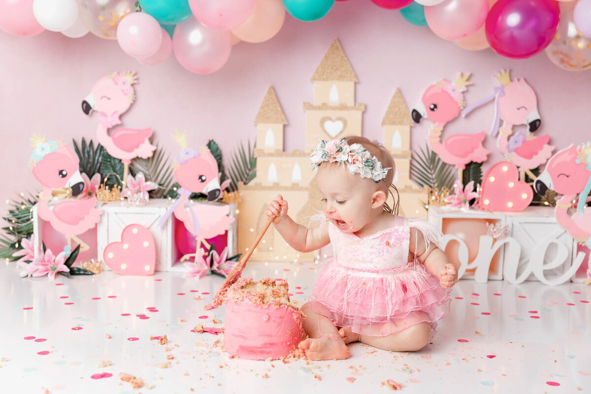 new-jersey-smash-cake-photographer-63
