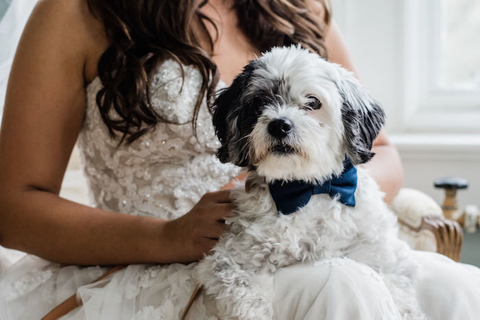 northern-virginia-farm-wedding00008