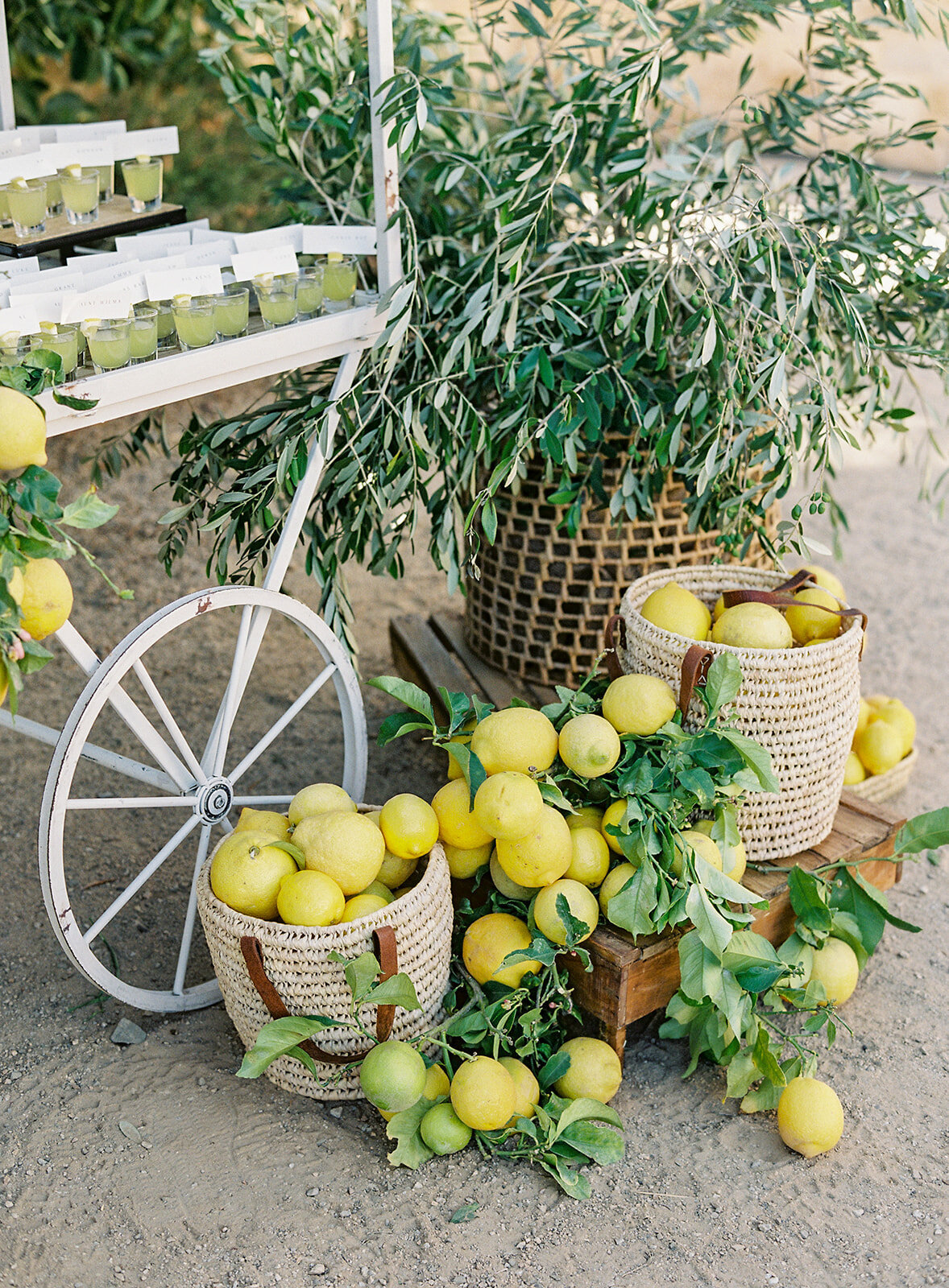 Sunstone_Villa_Santa_Ynez_Wedding Planner_Santa_Barbara_Wedding_Weddings_by_Susan_Dunne__010 2