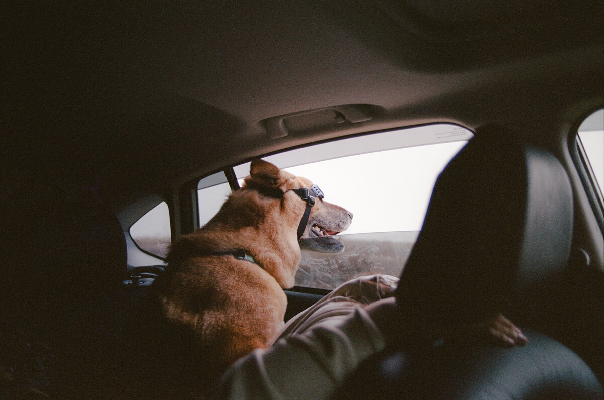 The Sea Ranch, 2024-91